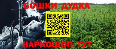 ALPHA PVP Моздок
