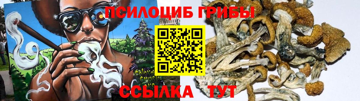 Галлюциногенные грибы мухоморы Рязань